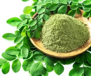 [fpdl.in]_moringa-powder-moringa-oleifera-wooden-bowl-with-original-fresh-moringa-leaves-isolated-white_100801-583_medium